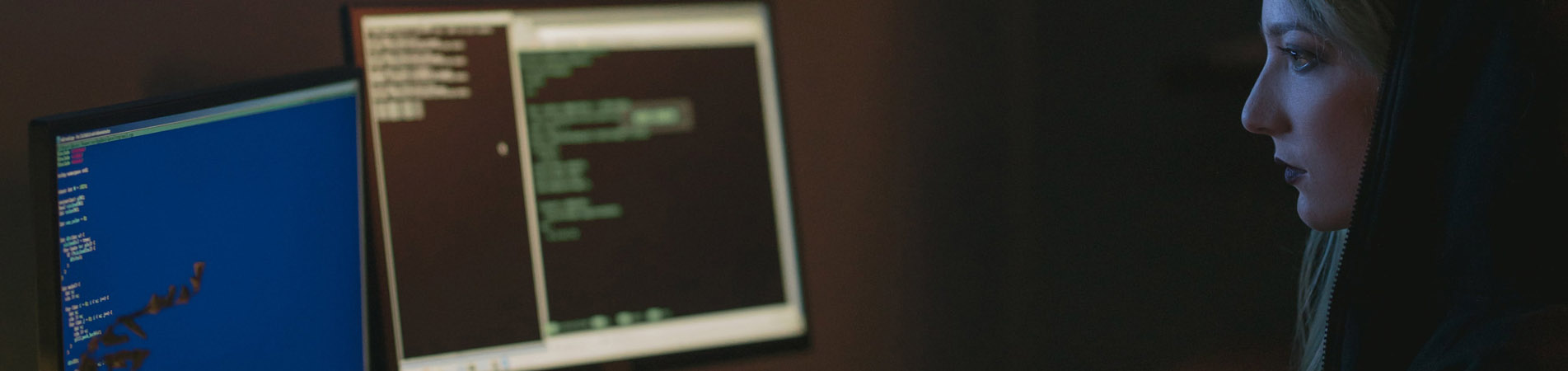 Valentina IT slide homesliders1